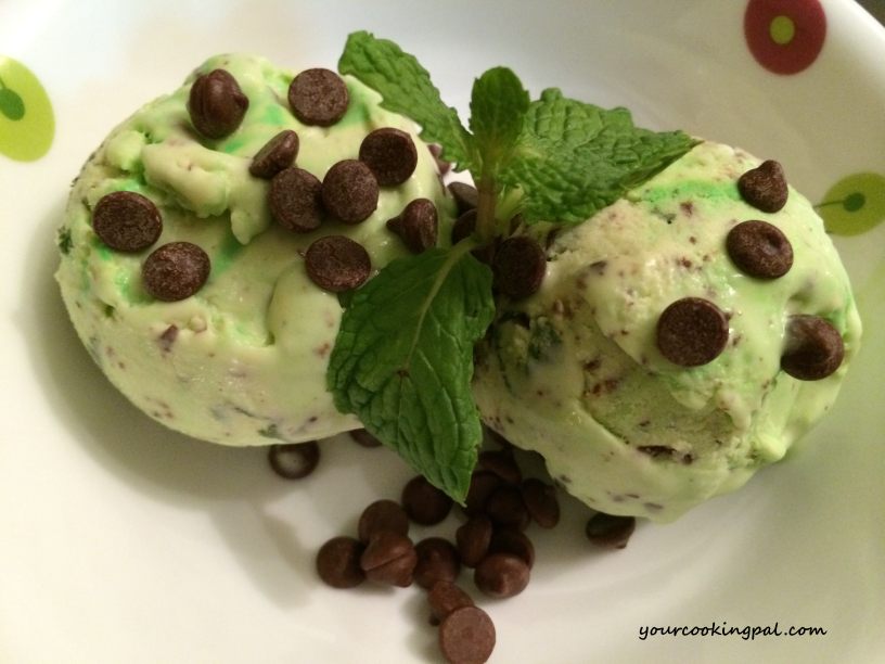 Homemade Mint Chocolate Chip Ice-cream 