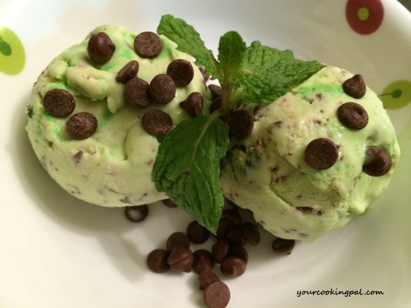 Homemade Mint Chocolate Chip Ice Cream